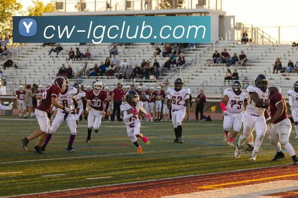 老哥俱乐部官网发展历程